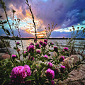 Before the Storm