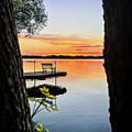 Between Two Trees